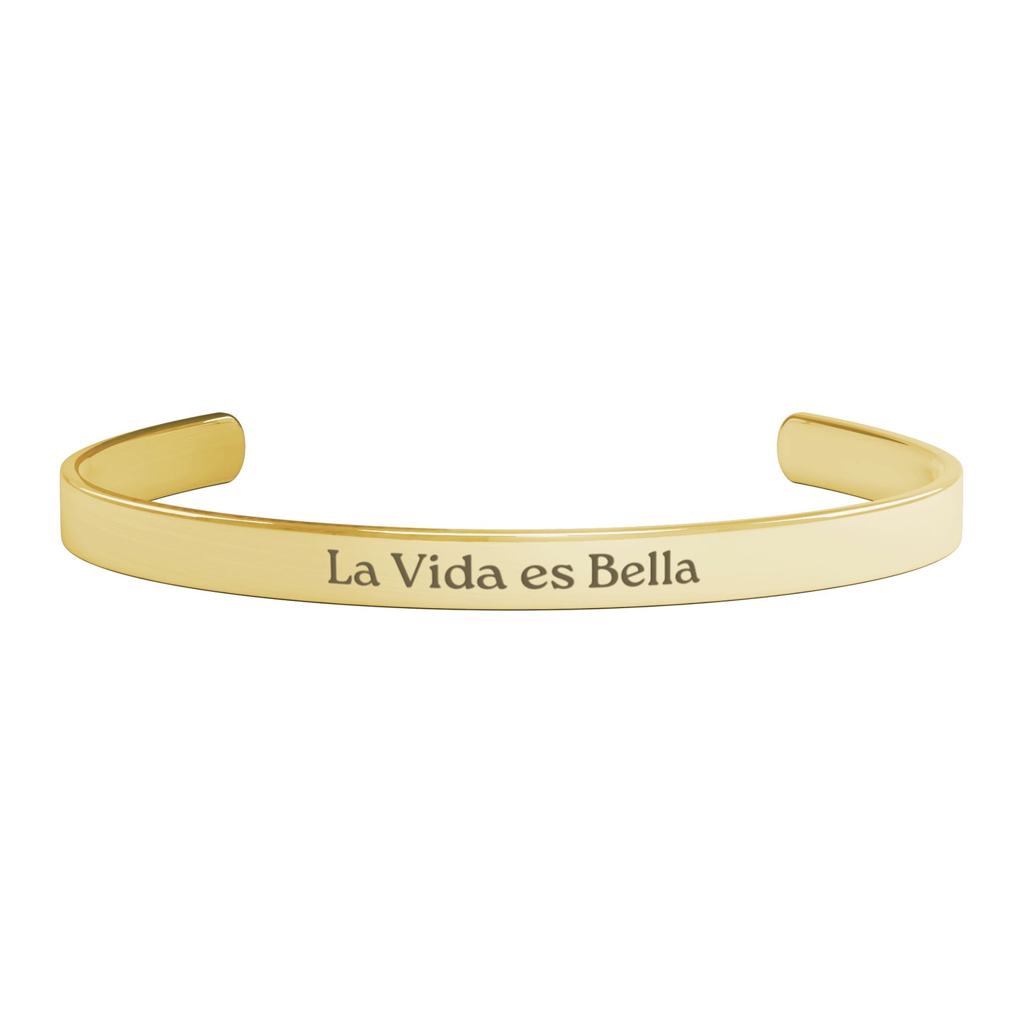 LA VIDA ES BELLA (Spanish- Life is Beautiful)